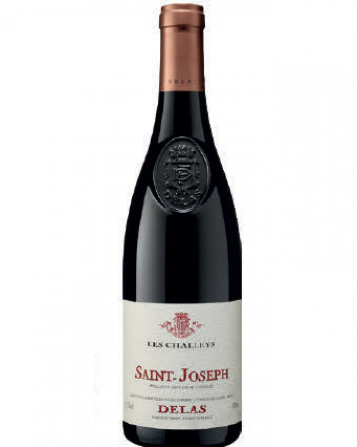 Rouge: Saint Joseph AOP – Rhône