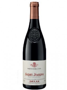 Rouge: Saint Joseph AOP – Rhône