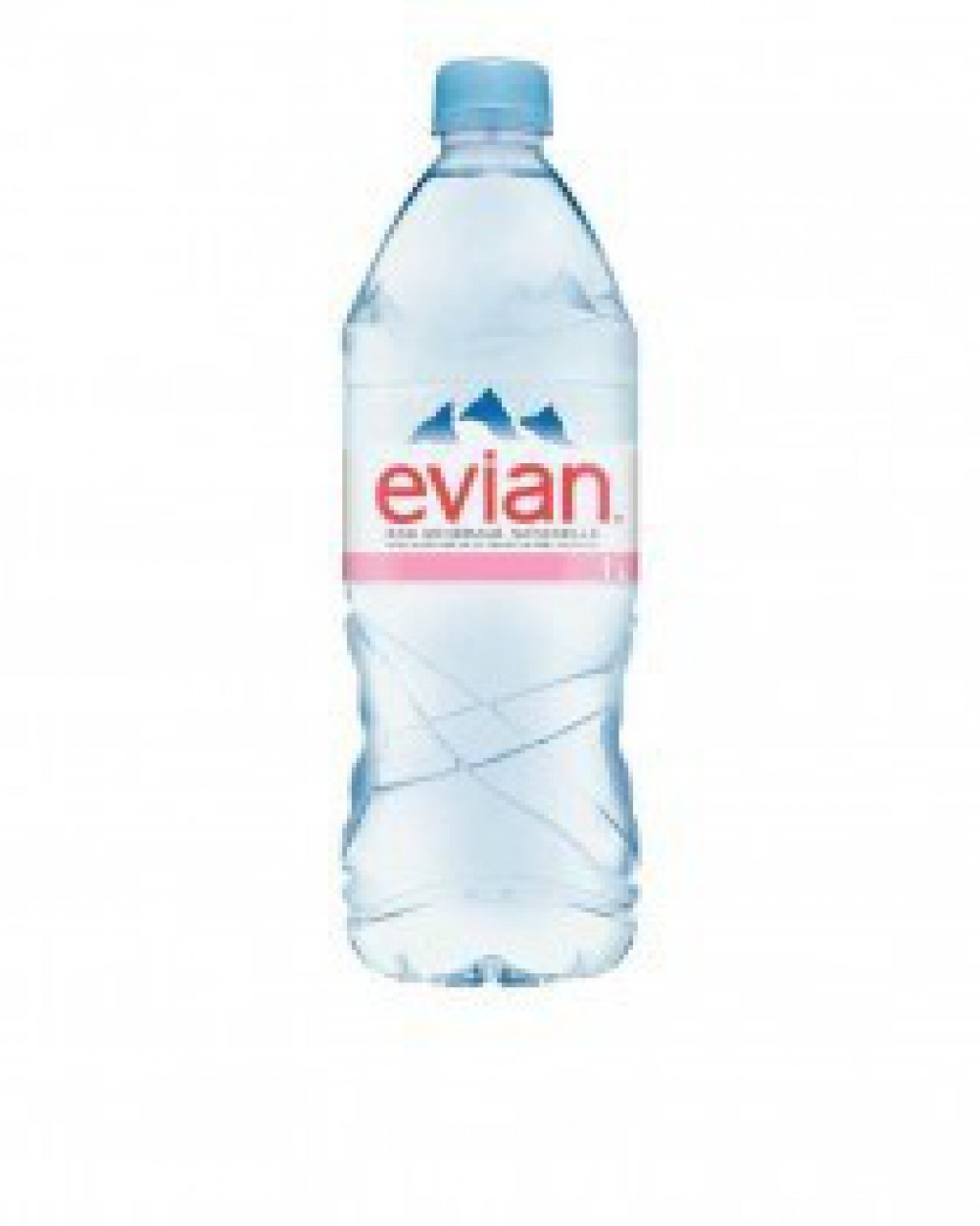 .Eau minérale Evian, pet 1 litre Sebéo